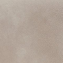 Load image into Gallery viewer, 4Z-Peaceful Pause Power Lift Recliner