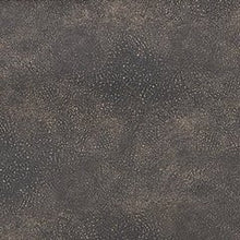 Load image into Gallery viewer, 4Z-Peaceful Pause Power Lift Recliner