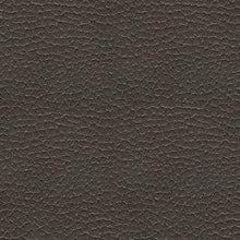 Load image into Gallery viewer, Fyne-Dyme Power Reclining Sofa