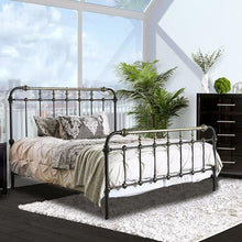 Load image into Gallery viewer, RIANA Antique Black Metal E.King, Full, Queen, & Twin Bed