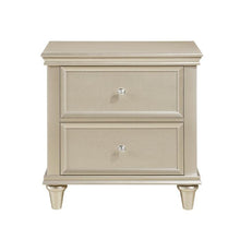 Load image into Gallery viewer, Celandine 2 Drawer Nightstand in Silver 1928-4
