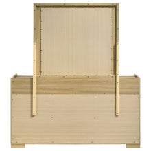 Load image into Gallery viewer, Hyland Dresser With Mirror
