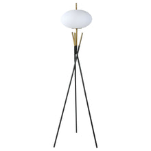 Load image into Gallery viewer, Layton Floor Lamps
