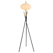 Load image into Gallery viewer, Layton Floor Lamps

