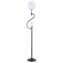 Load image into Gallery viewer, Dacki Floor Lamp
