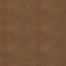 Load image into Gallery viewer, Bolsena Sofa Sleeper
