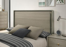 Load image into Gallery viewer, Rainier Queen Bedroom Set Gray
