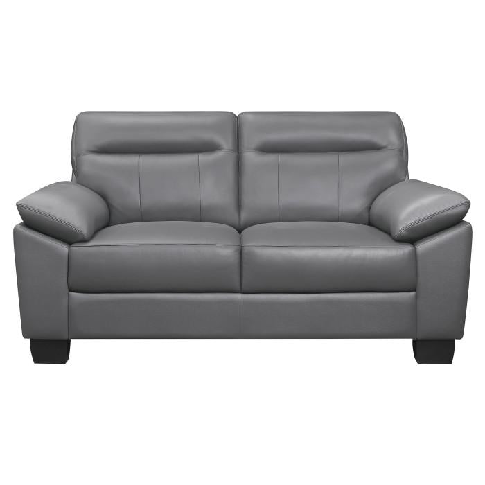 Denizen Loveseat in Dark Gray 9537DGY-2