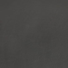 Load image into Gallery viewer, LILA Power-assist Loveseat
