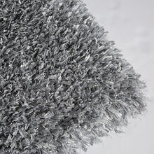 Load image into Gallery viewer, Annmarie 5&#39; X 7&#39; Silver Area Rug
